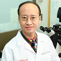 Stephen Tsang, MD, PhD